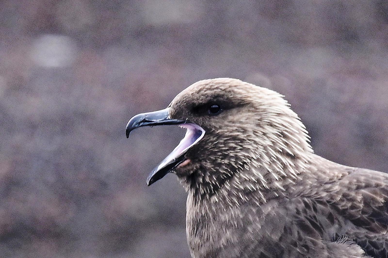 053ed62f-b640-4e98-a0c2-d7c44e8c8560