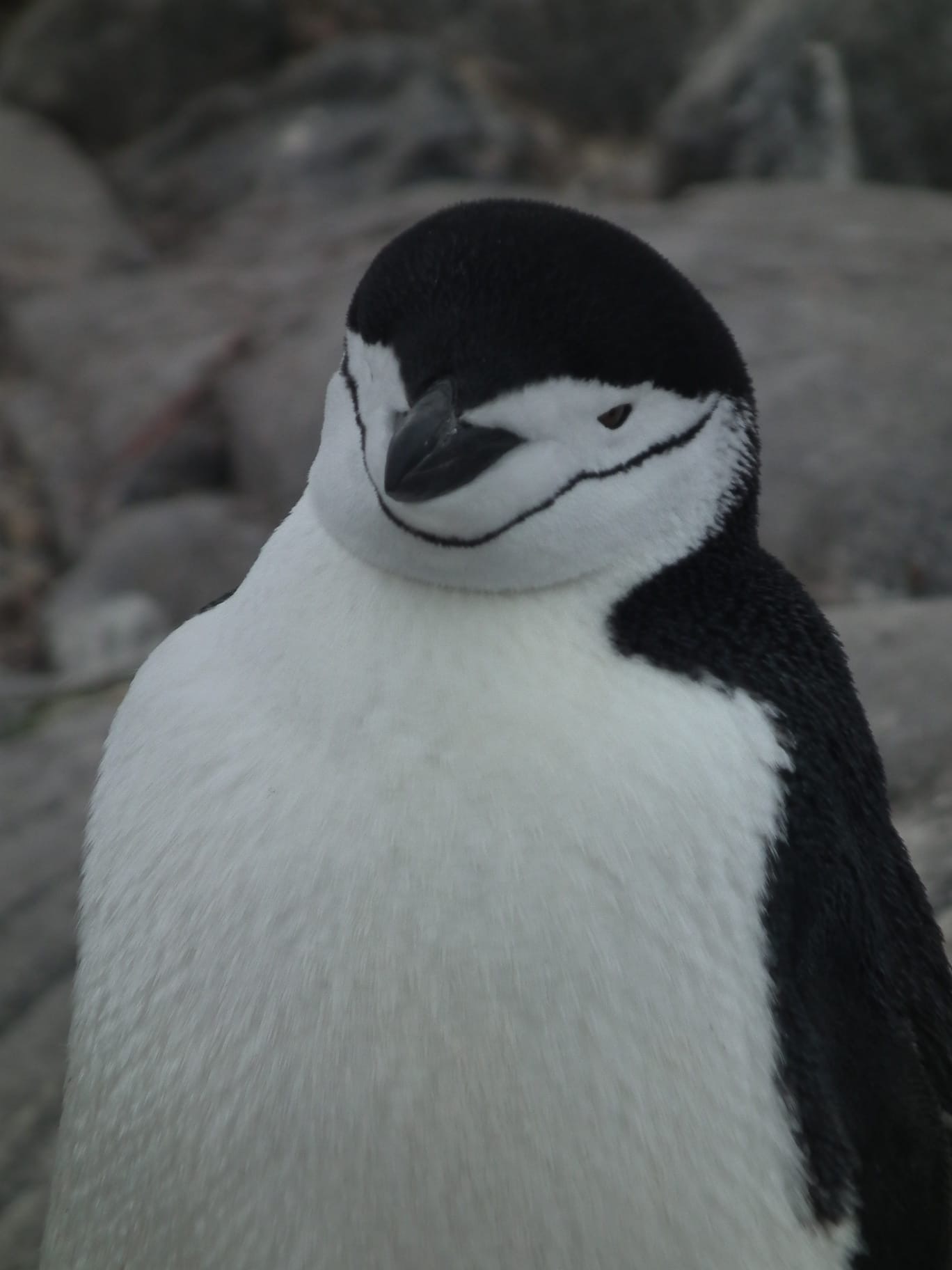 0ffda925-e16e-402f-83a7-00afdc25ab3a