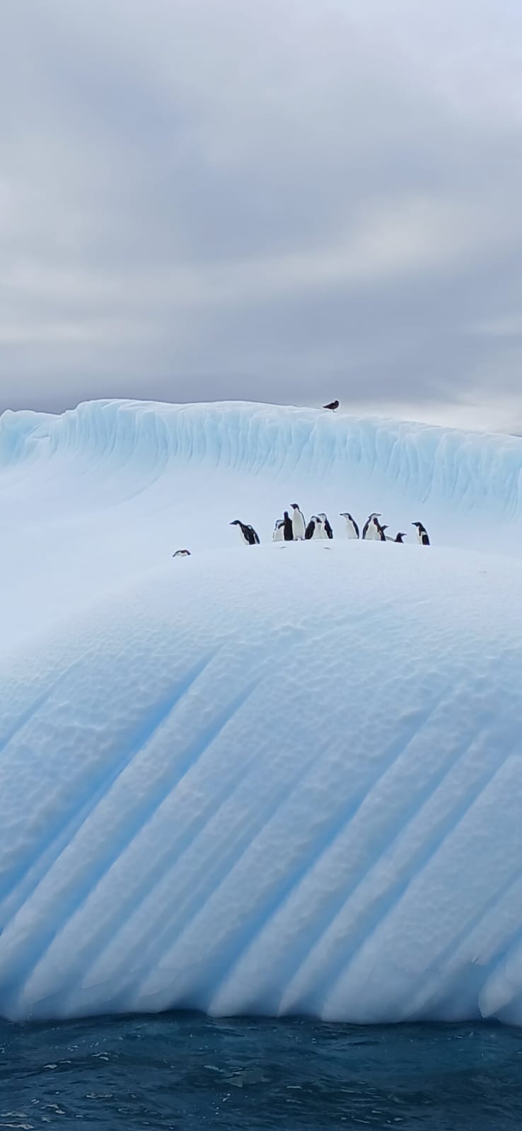 159bbef9-5395-4846-bdf0-420bf417362c