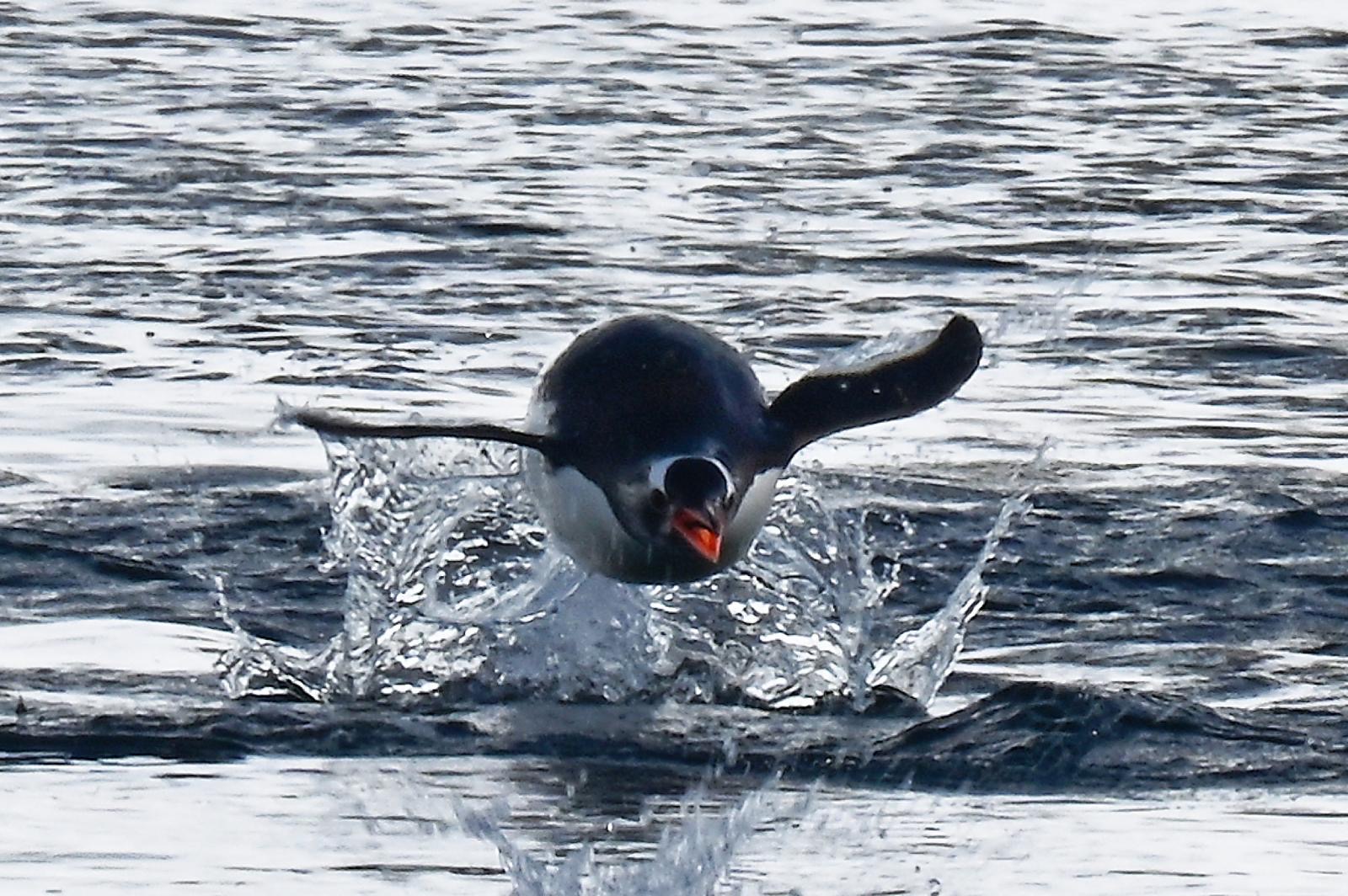 16f07fa6-2df8-48bb-8383-869f6a1d4419