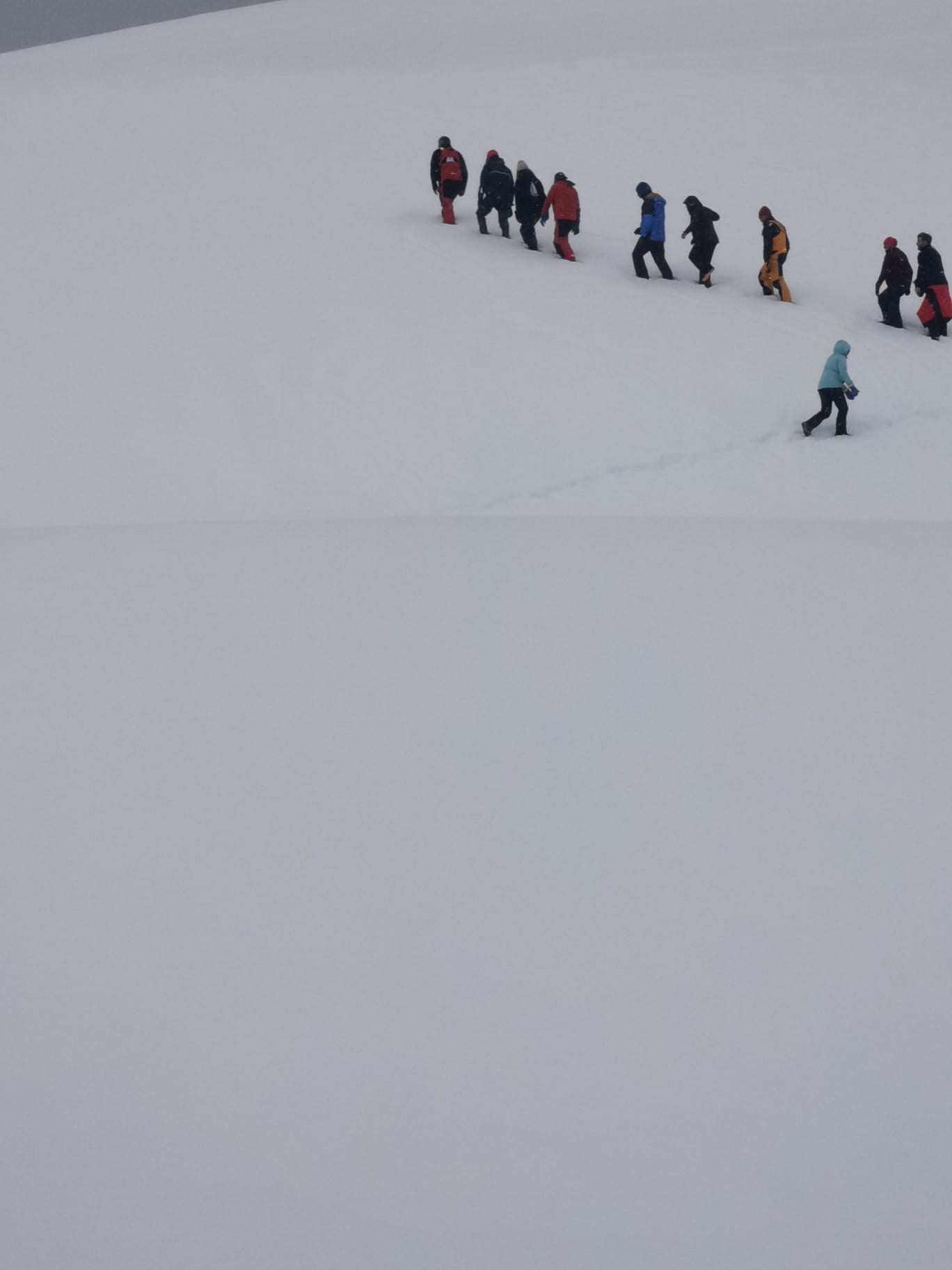 2013c236-83c2-4a06-aa3d-26758dab6551