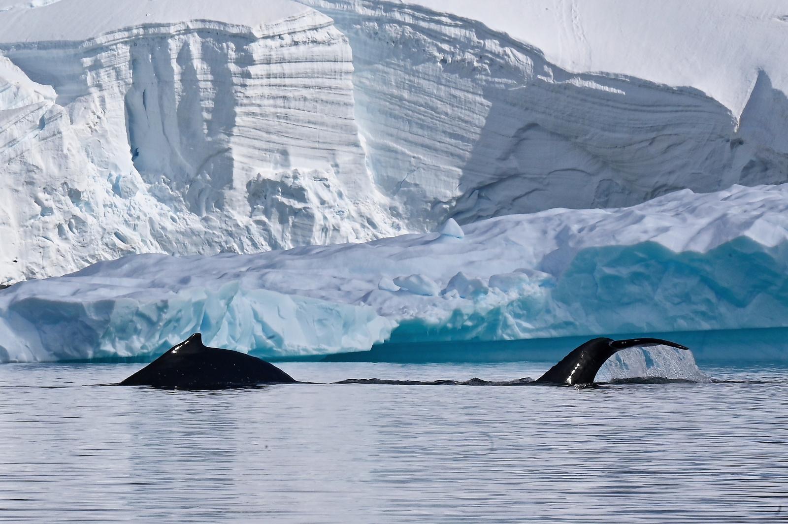 2af00785-7ad5-4535-98cd-634e8fa9fb28