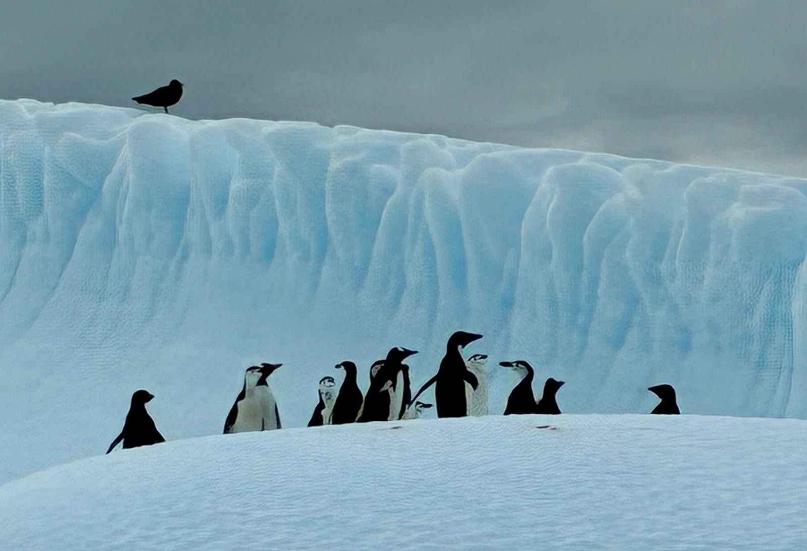 34f980d6-d47e-423e-ba19-15b1268b9cd0