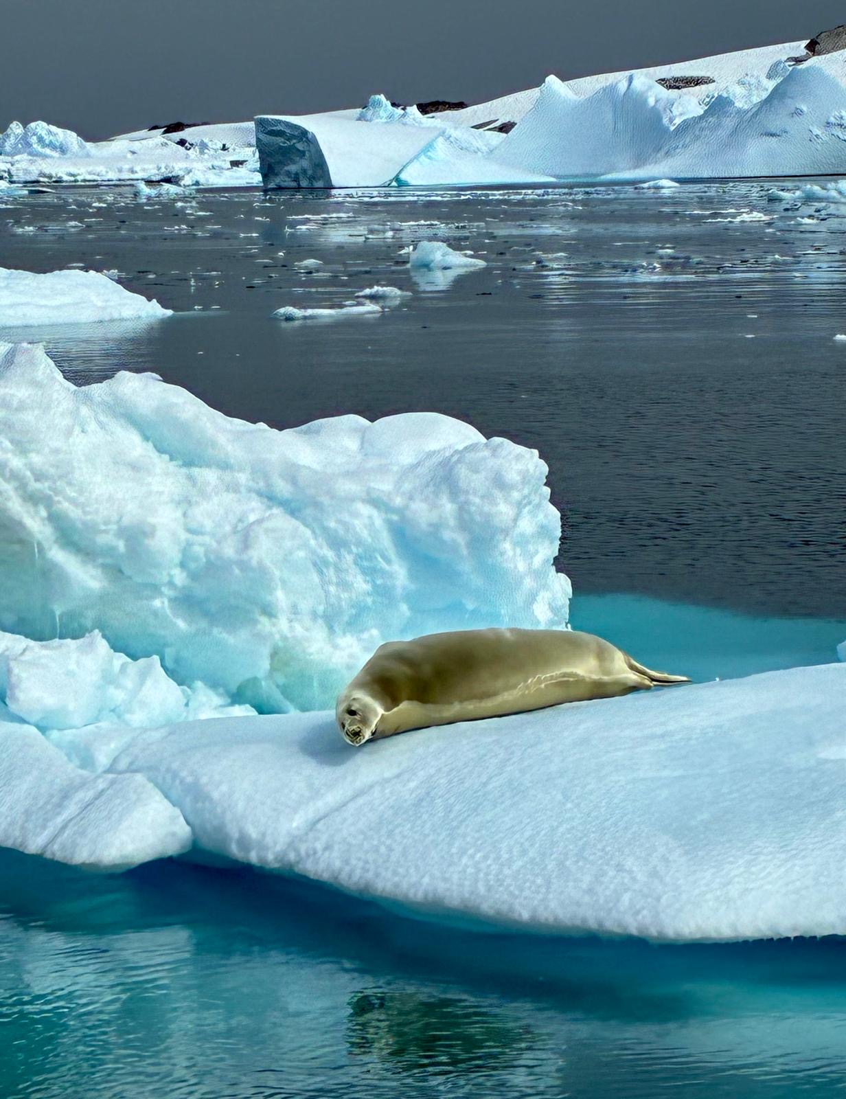 3920112e-d422-4d48-bbe0-e2b3d1daa904