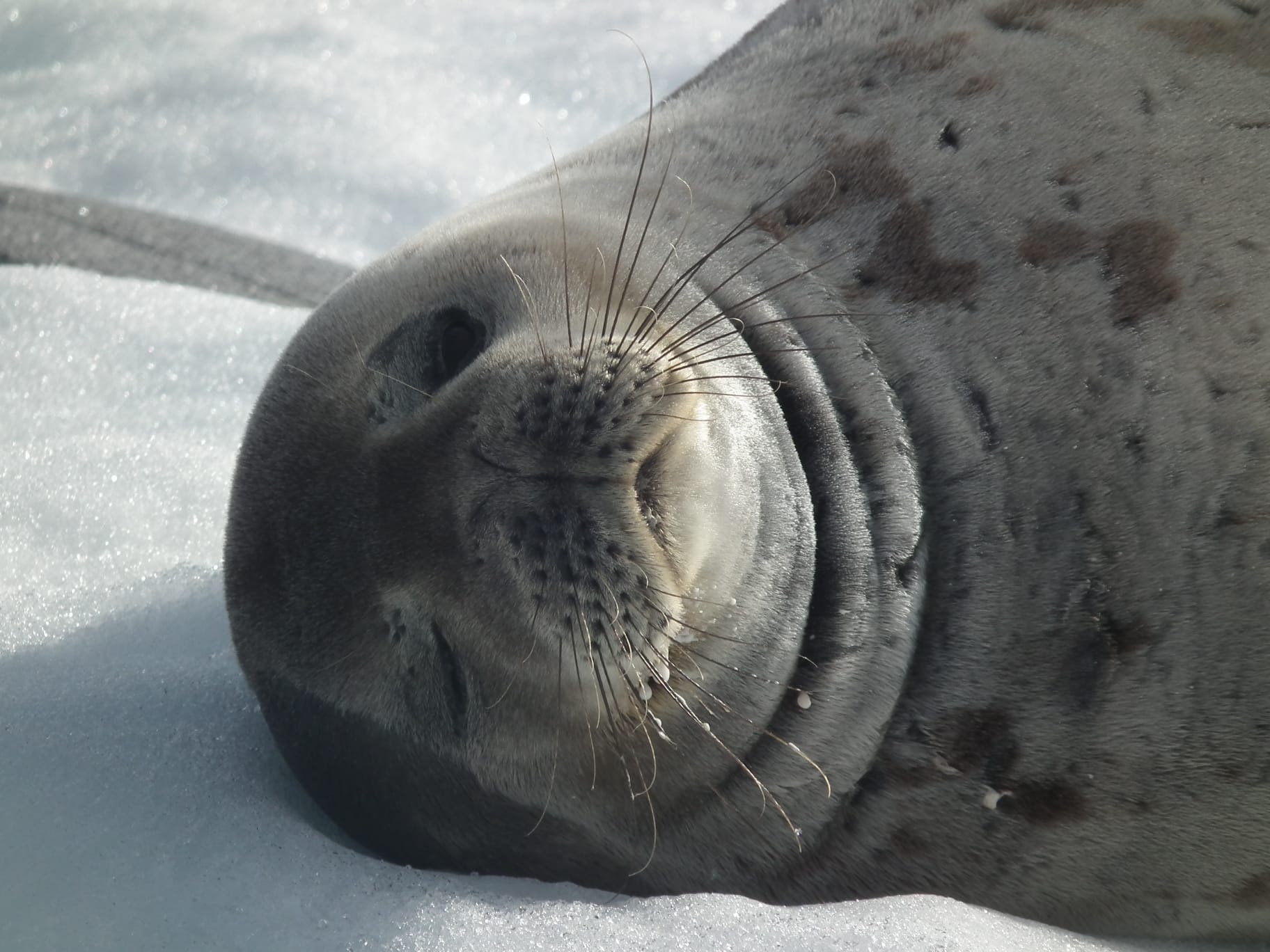 3df79402-30bd-4a0a-9fbc-45441a26f93f