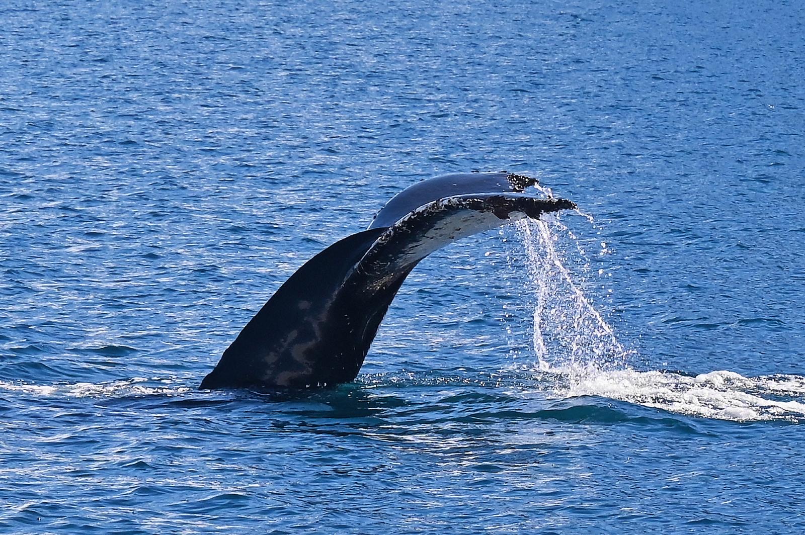 434a7edb-73c2-4a21-a374-f72cb9b2db8f