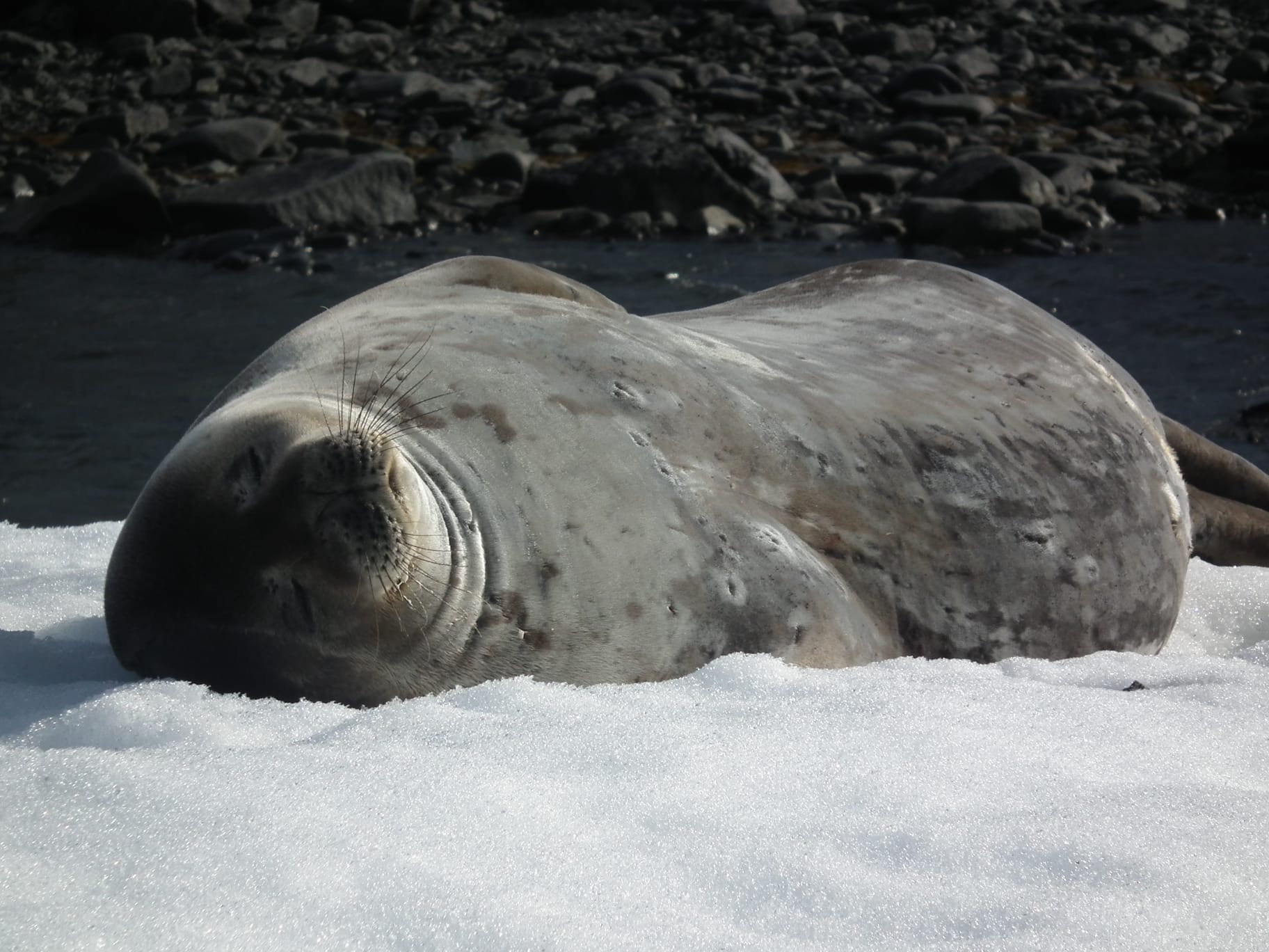 4c4bfe86-811b-45a3-863a-bc0d854bc7cd