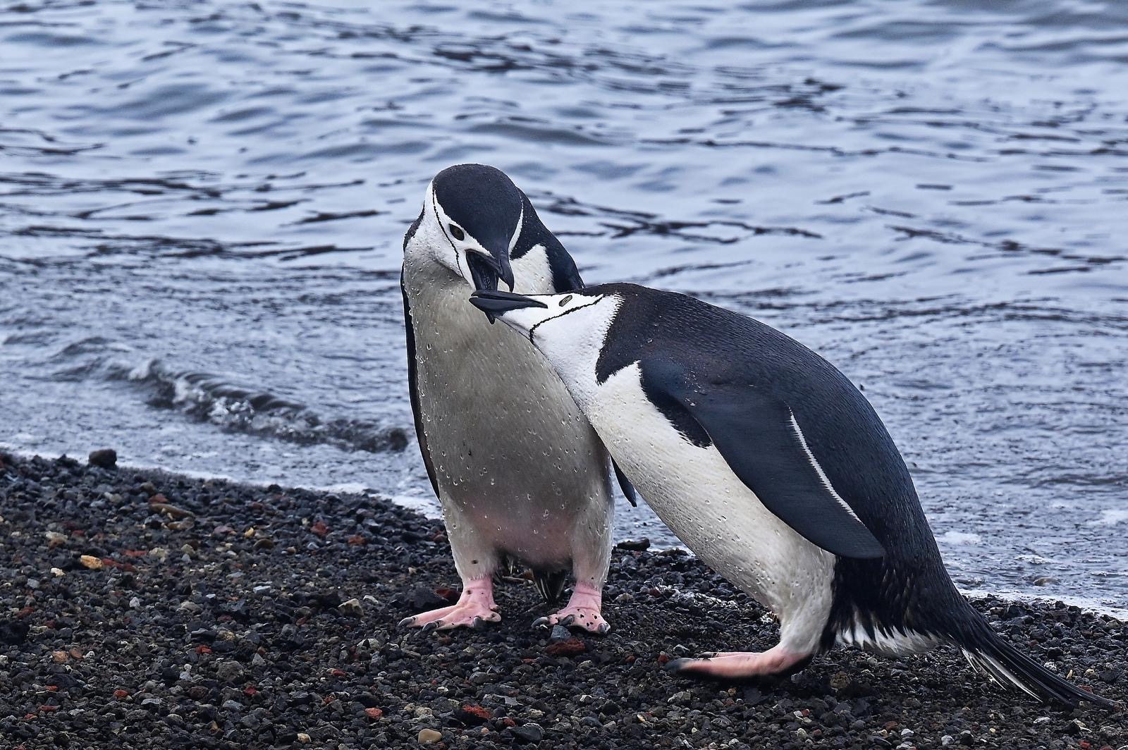 57ab4758-9dd1-4625-818e-94e1086849f6