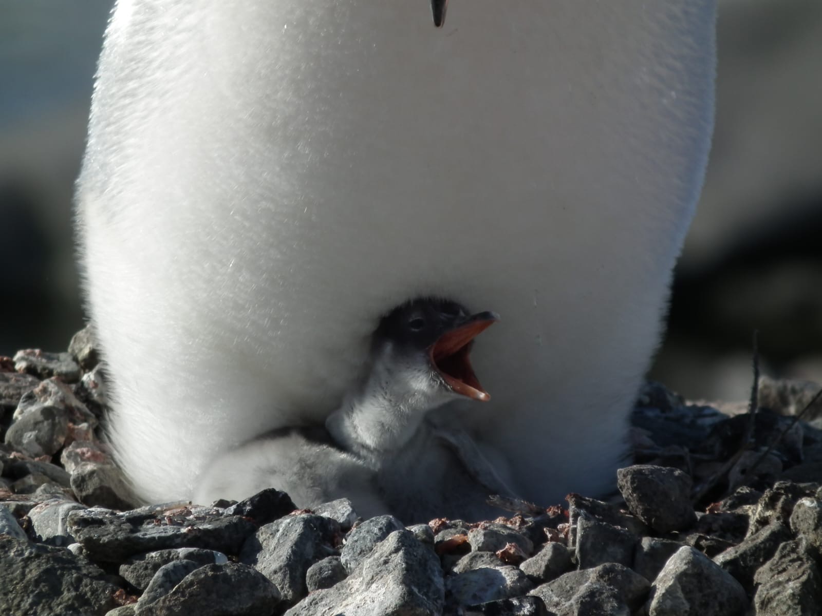 5a5a880c-0b71-4e4e-91c9-1ef5eab4be9b