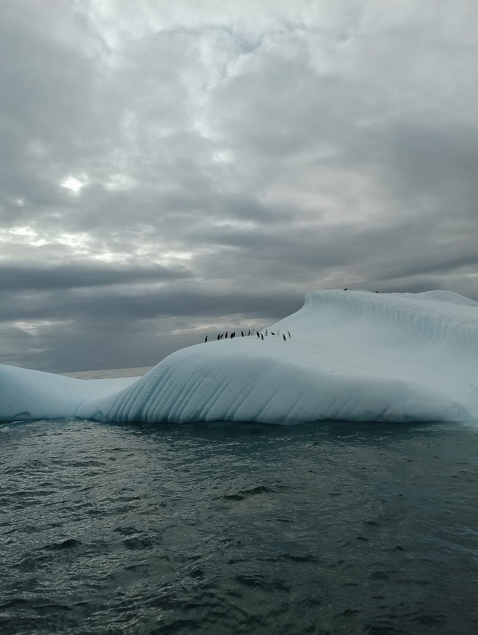 5ca39ee8-3268-47a5-b819-a4227f912f99