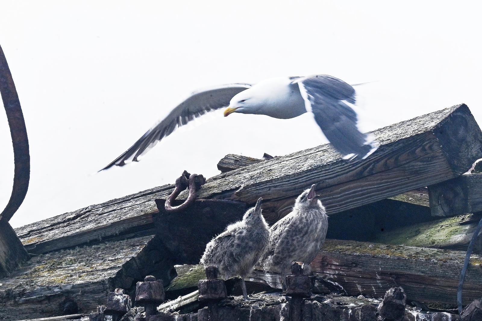 5d1ce591-7478-4e8f-b870-bb07c2f08e28