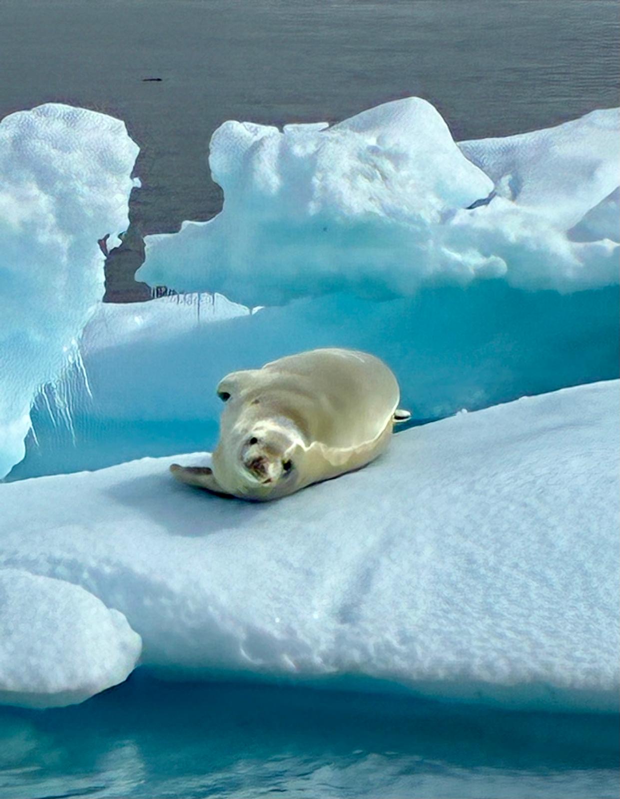 6c73dfd0-74cb-4345-80ad-b81205fe03a9