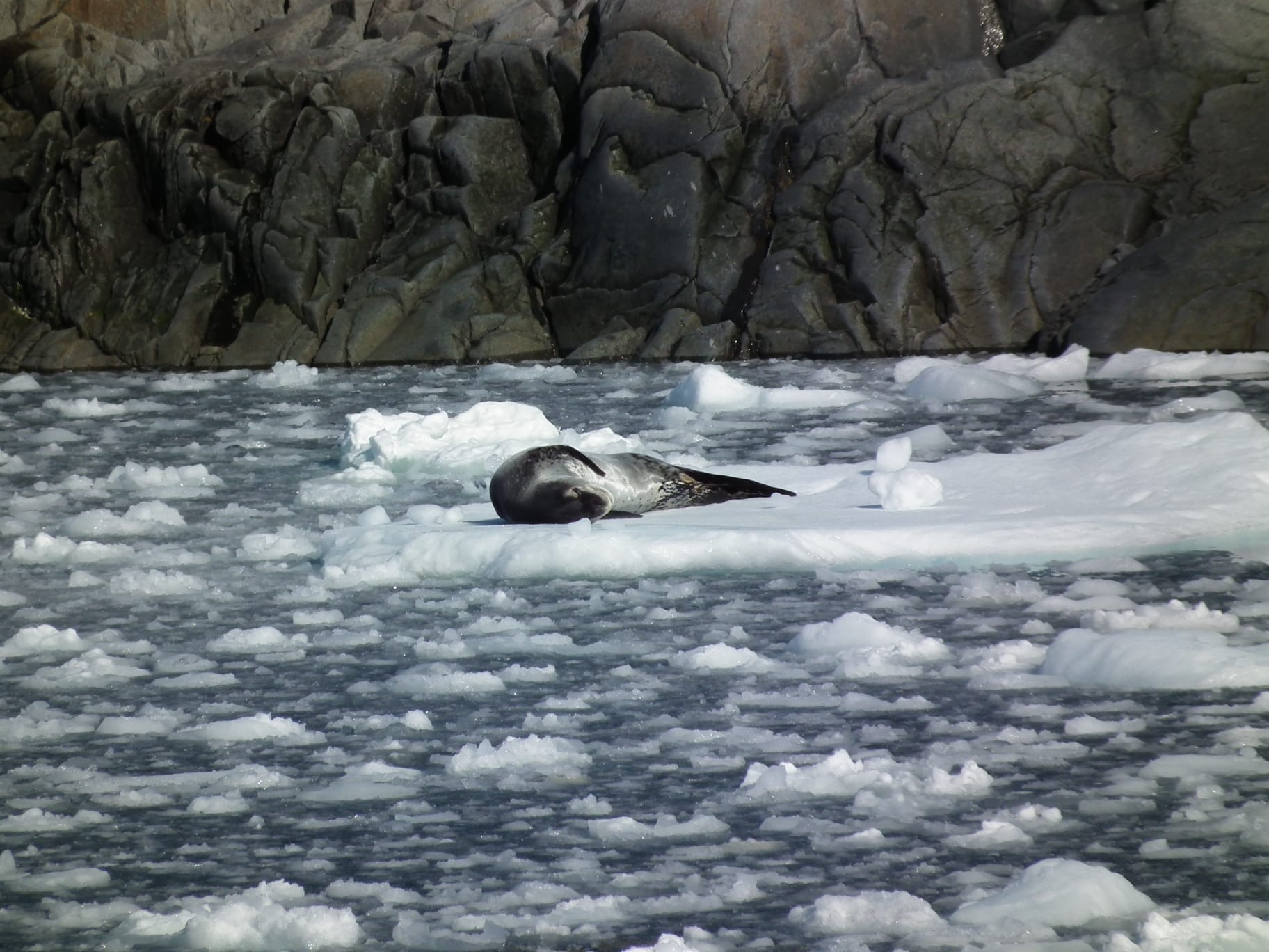 6f349f82-c6c9-4b89-970b-ae840608547e