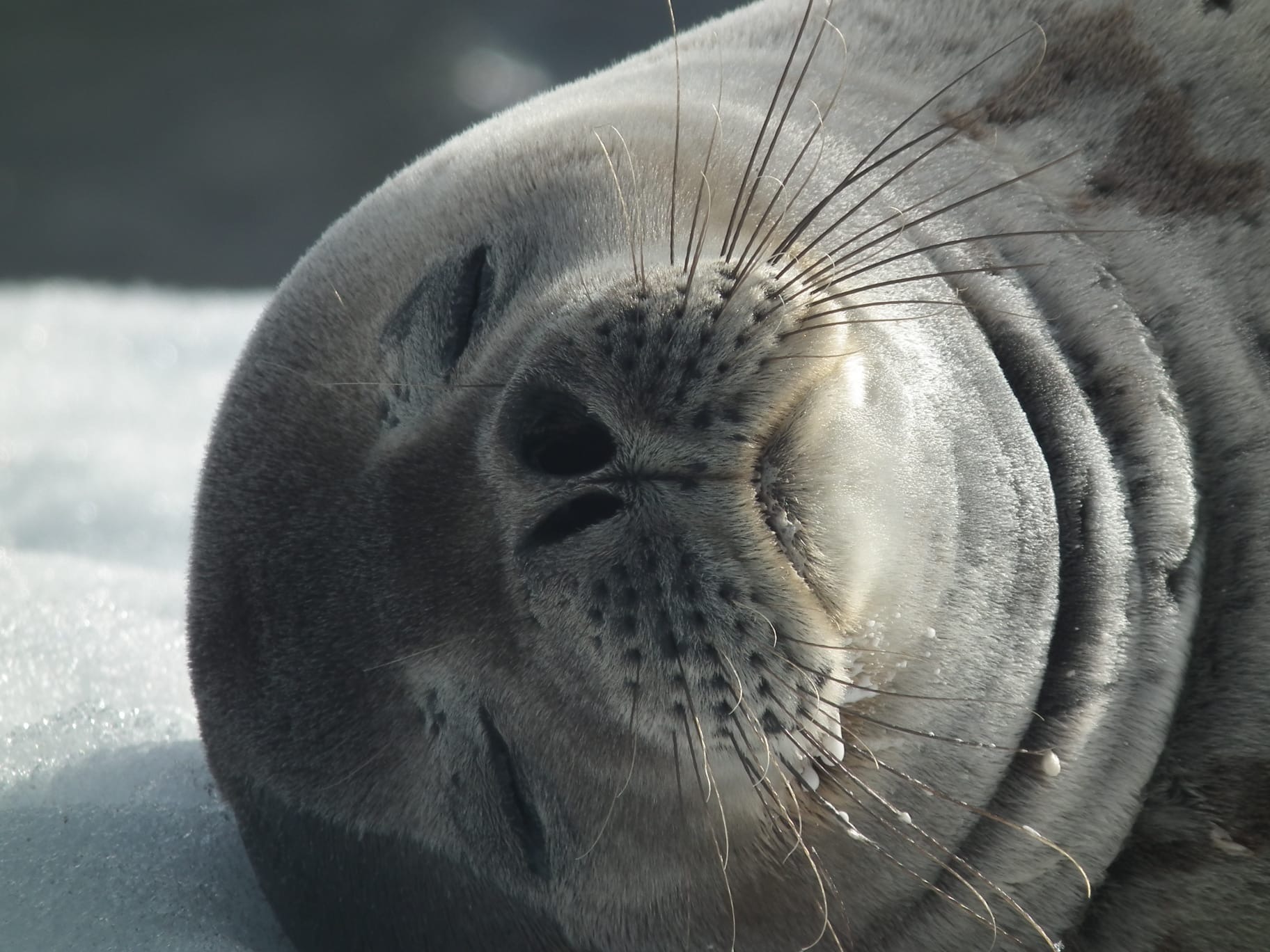 75829200-70d5-4be2-99e7-52cfb392f7b6