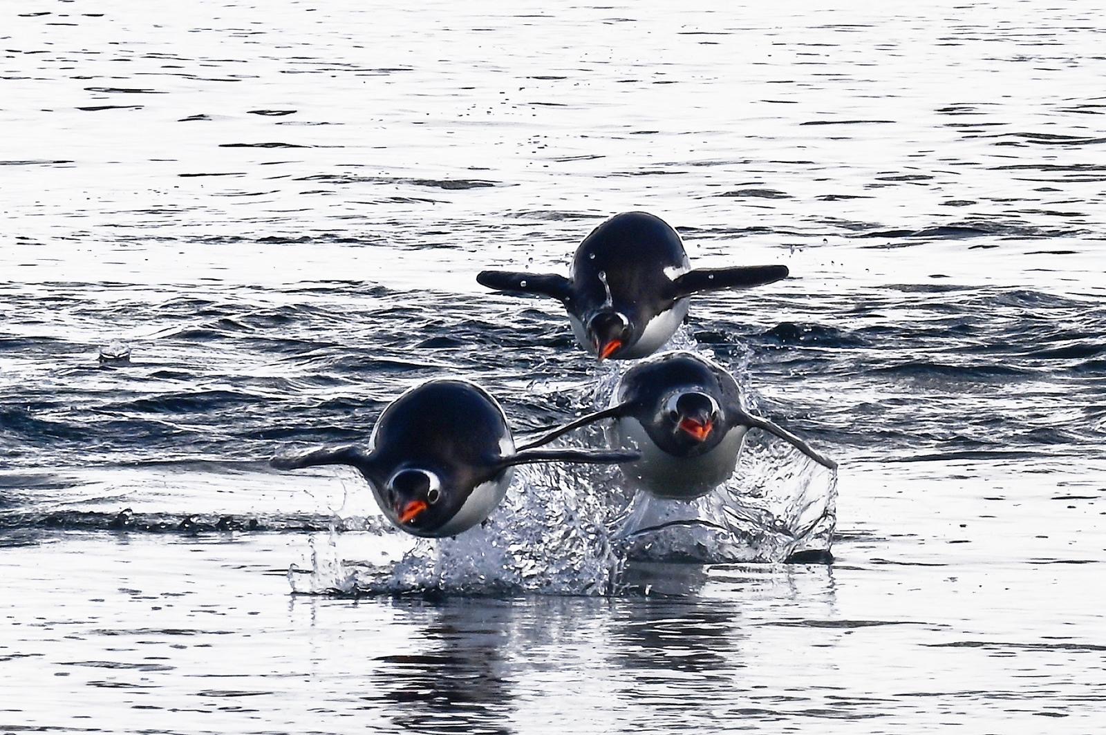 844e0d7e-de67-4034-8e7e-69e1a31b12fa