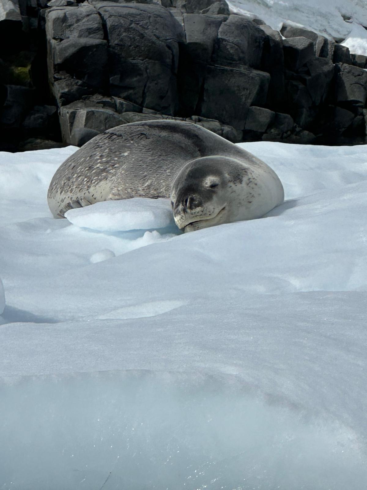 8594acb6-88a1-4c28-b3be-800bfbdd78e9