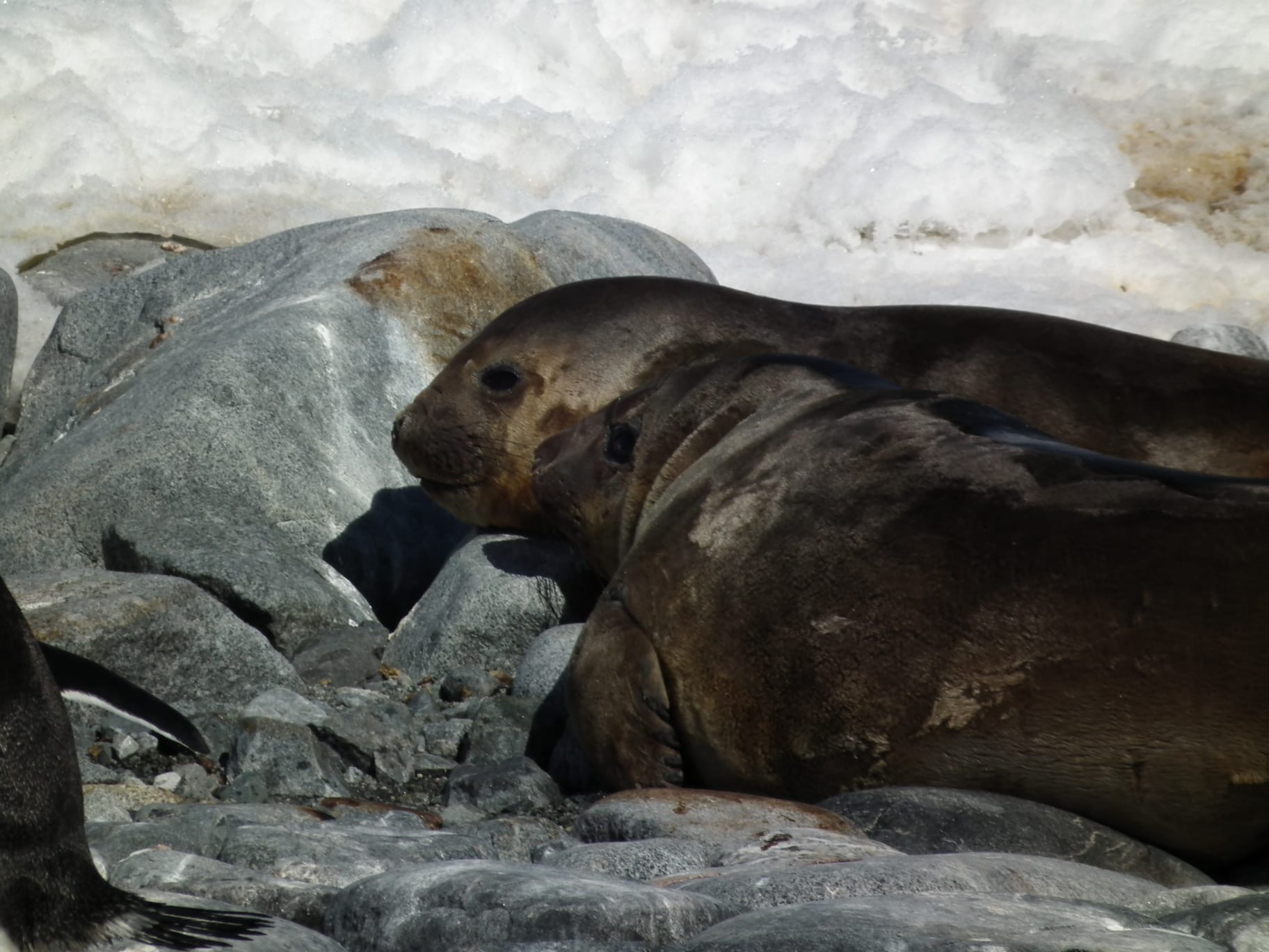 85e0d753-8f0c-42fb-8f57-2abfdf185ad7