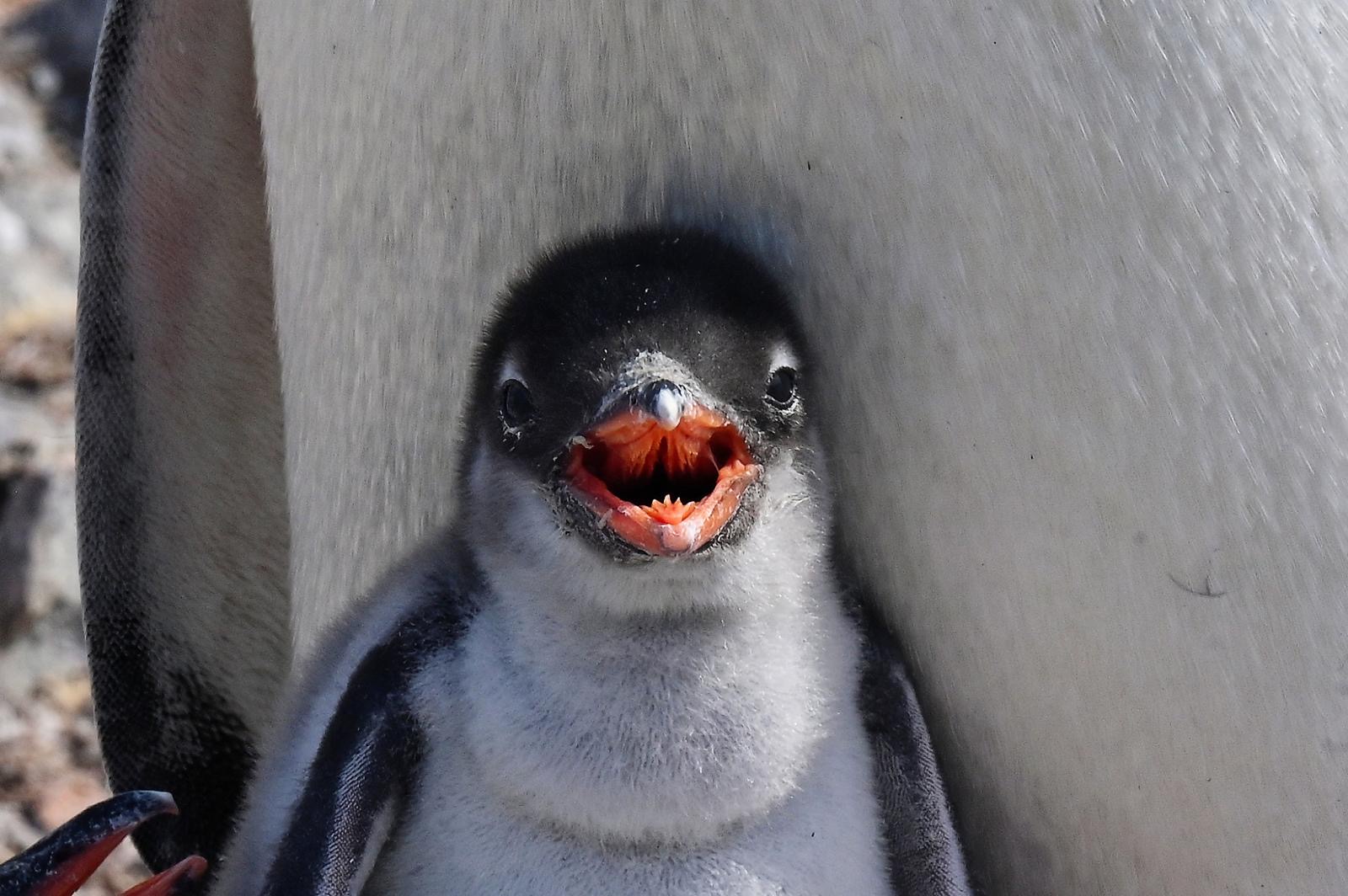 e47e4c08-789e-4d89-9010-26aa7d574890