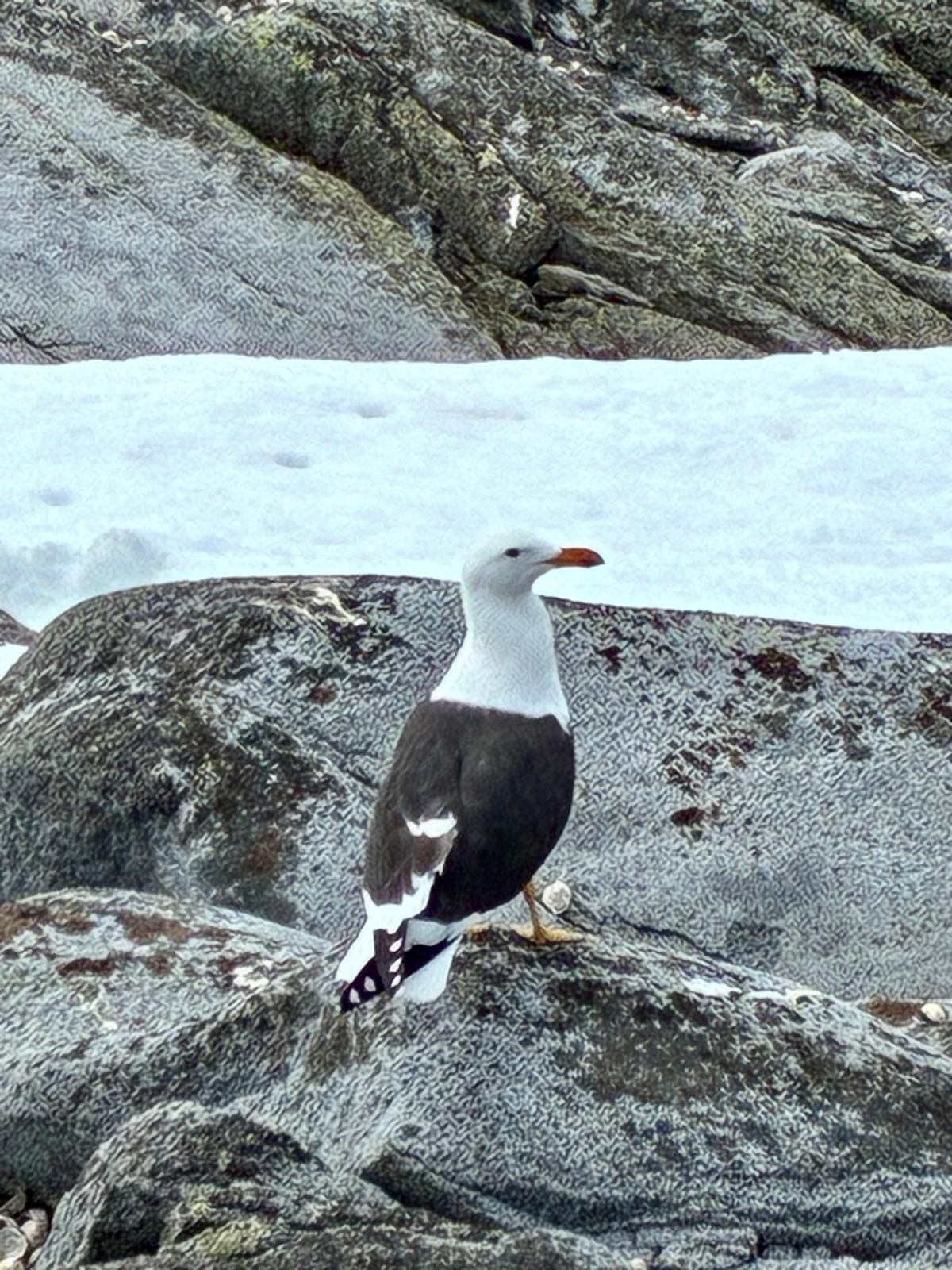 f89e85b0-345b-4c15-8f98-1a23f85c3bb6